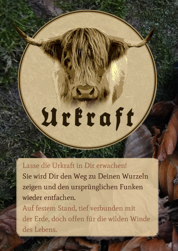 Urkraft - T-Hemd – Bild 5