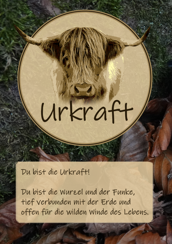 Urkraft - Leibchen Kleinkind – Bild 3